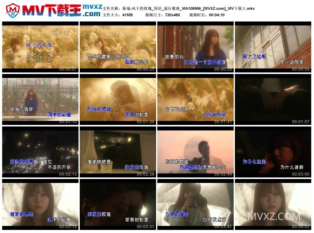 陈瑞-风干的玫瑰_国语_流行歌曲_MA108996